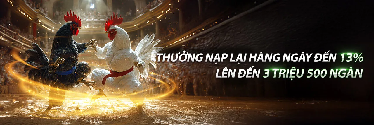 Hình ảnh đại diện cho Điều khoản dịch vụ của 8xx chính thức