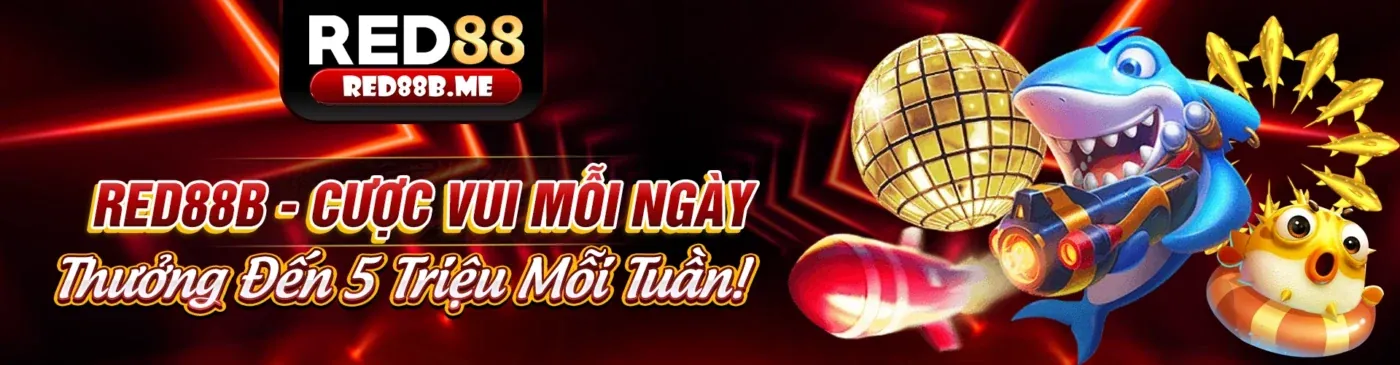 Hình ảnh chính blog 8xx chính thức